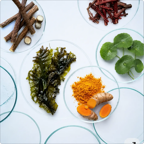Rooted in Ayurvedic Base