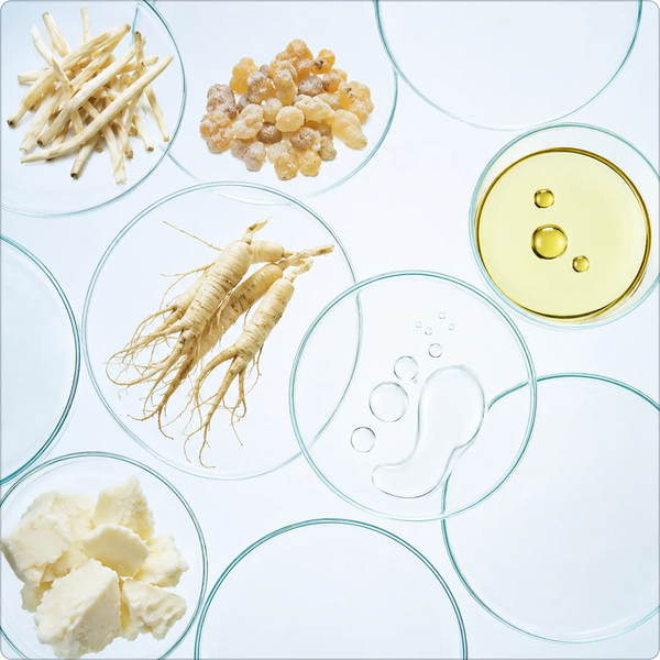 Rooted in Ayurvedic Base
