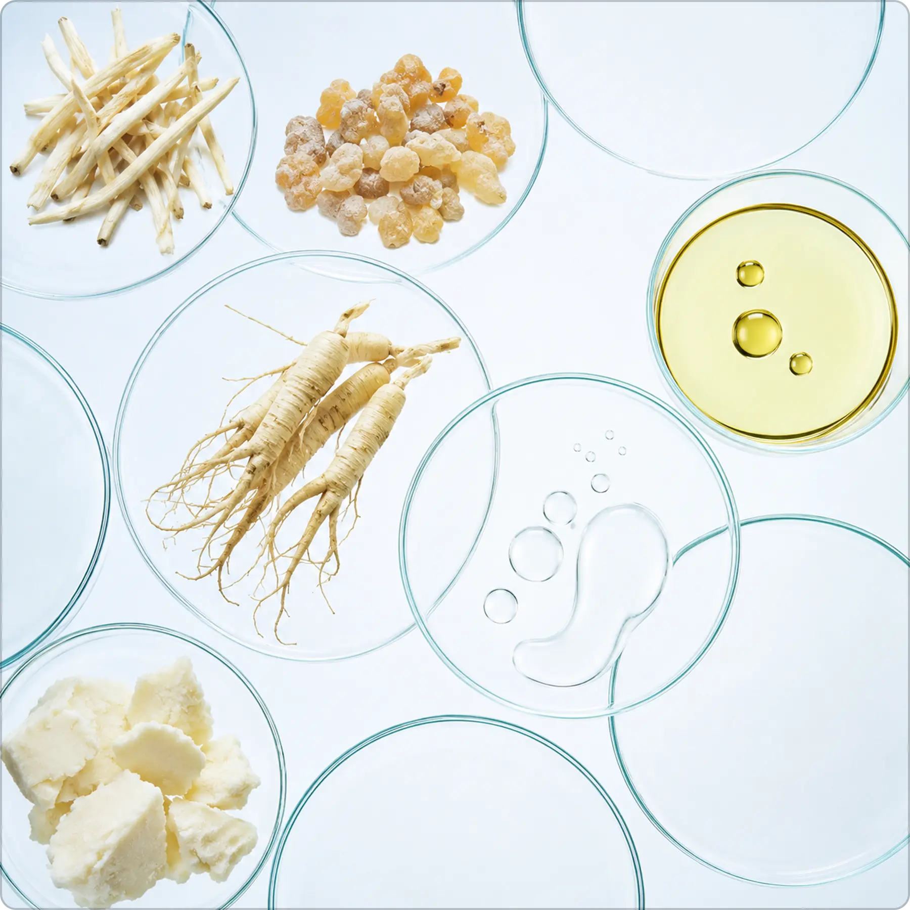 Rooted in Ayurvedic Base