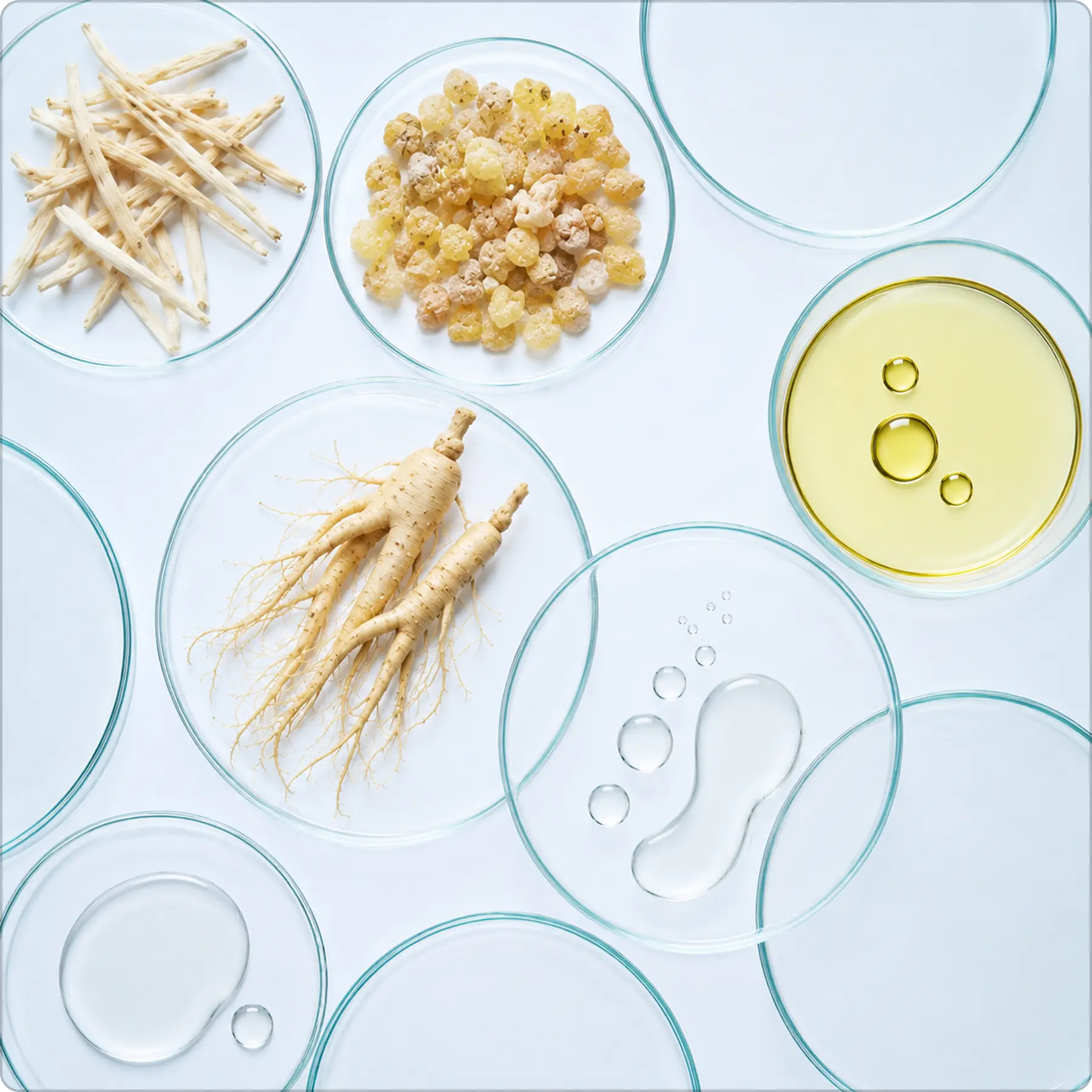 Rooted in Ayurvedic Base