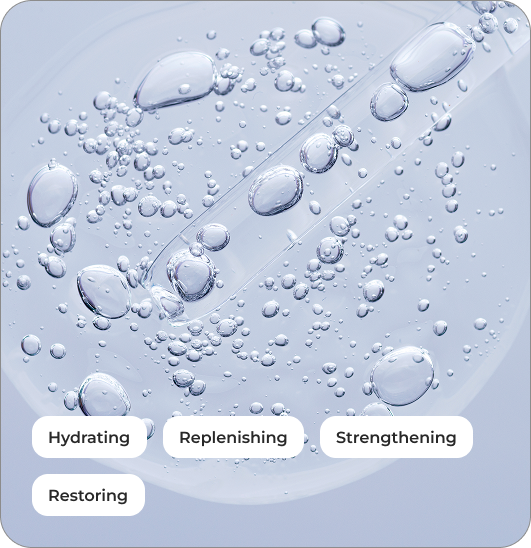 Aquaxyl