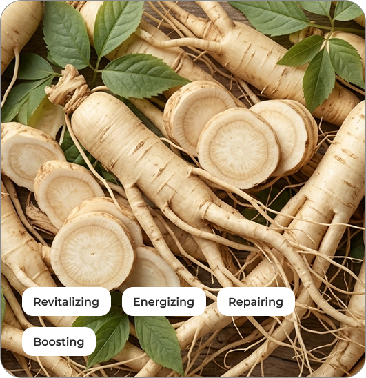 White Ginseng