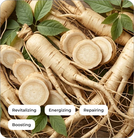 White Ginseng