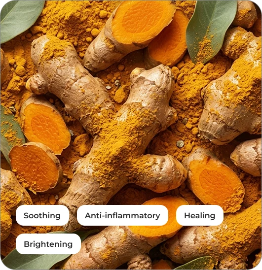 Turmeric Extract