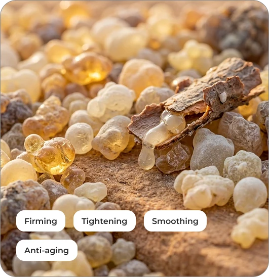 Frankincense
